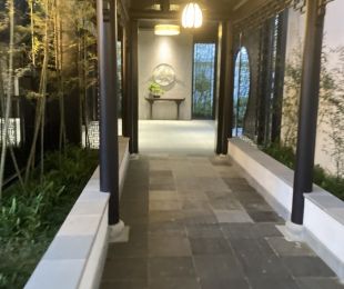 实景图