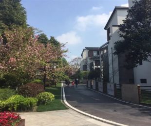 实景图