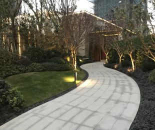 实景图