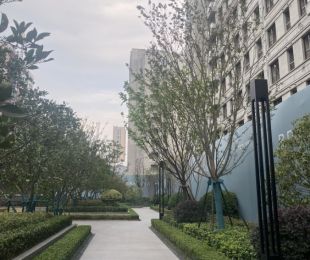 样板图