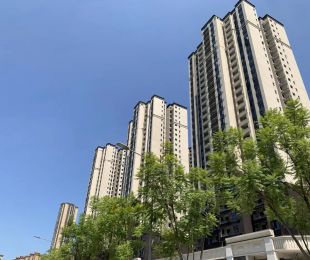 实景图