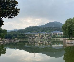 实景图