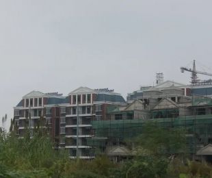 实景图